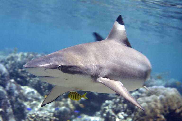 Studentenrabatt im Aquarium Berlin