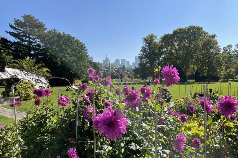 Studierende erhalten im Palmengarten Frankfurt einen Rabatt auf den Eintrittspreis