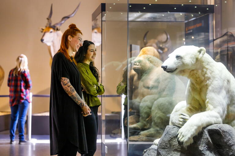 Für viele Studierende zählt das Naturkundemuseum in Berlin zu den sehenswertesten Orten der Stadt.