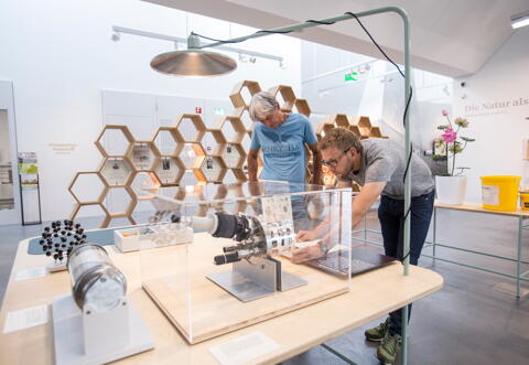 Studentenrabatt im Naturmuseum St. Gallen