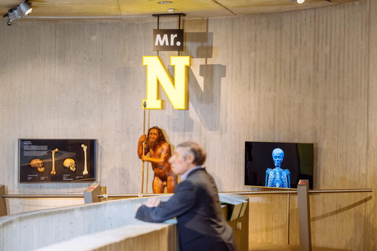 Das Neanderthal Museum in Mettmann