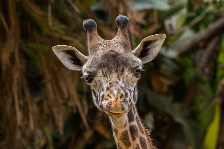 Studentenrabatt im zoologisch-botanischen Garten in Stuttgart