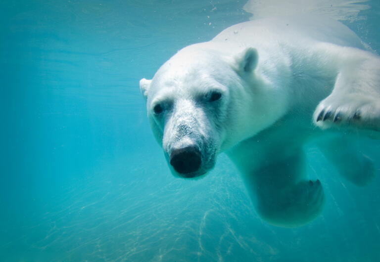 Rabatt im Zoo am Meer in Bremerhaven