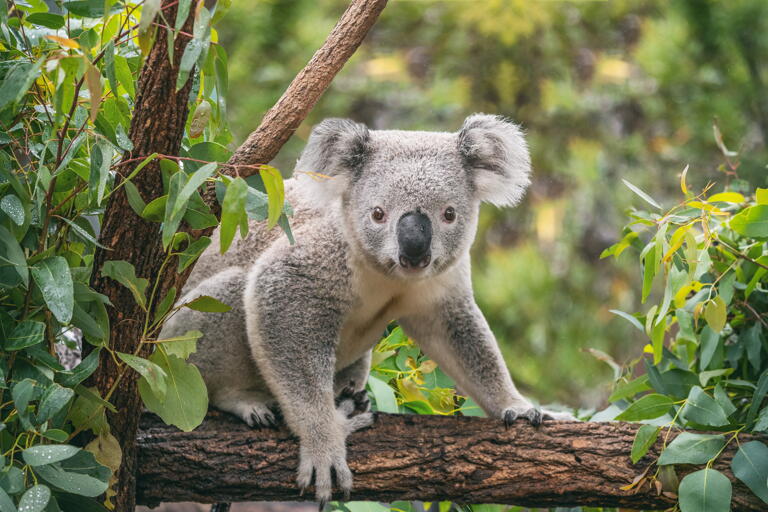 Ermäßigte Eintrittspreise für Studierende im Duisburger Zoo.