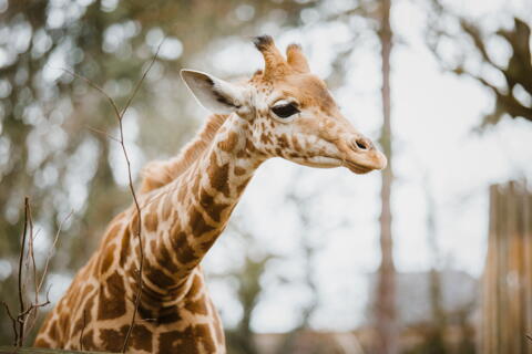 Studententarife im Neunkircher Zoo