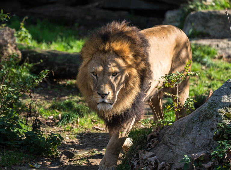 Eintritt für Studenten im Zoo Neuwied