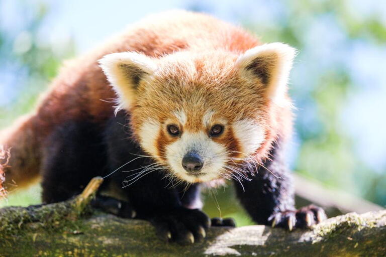 Eintritt für Studenten im Zoo Schwerin