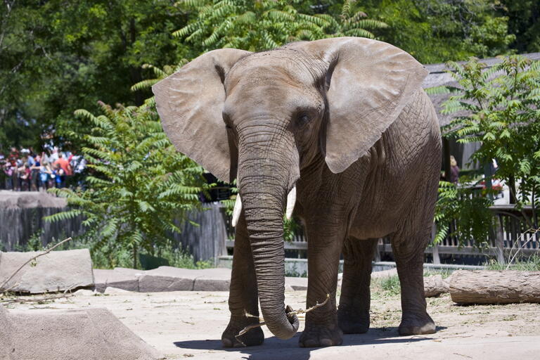 Rabatt für Studenten im Zoo Wuppertal