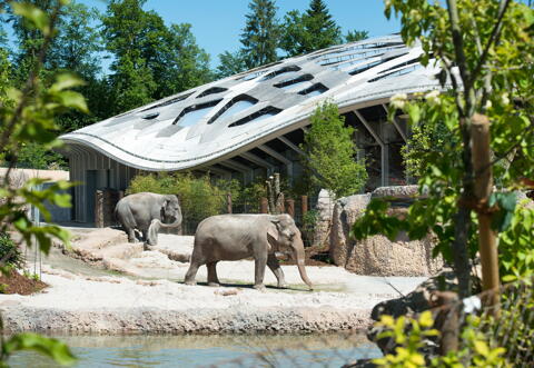 Studententag im Züricher Zoo